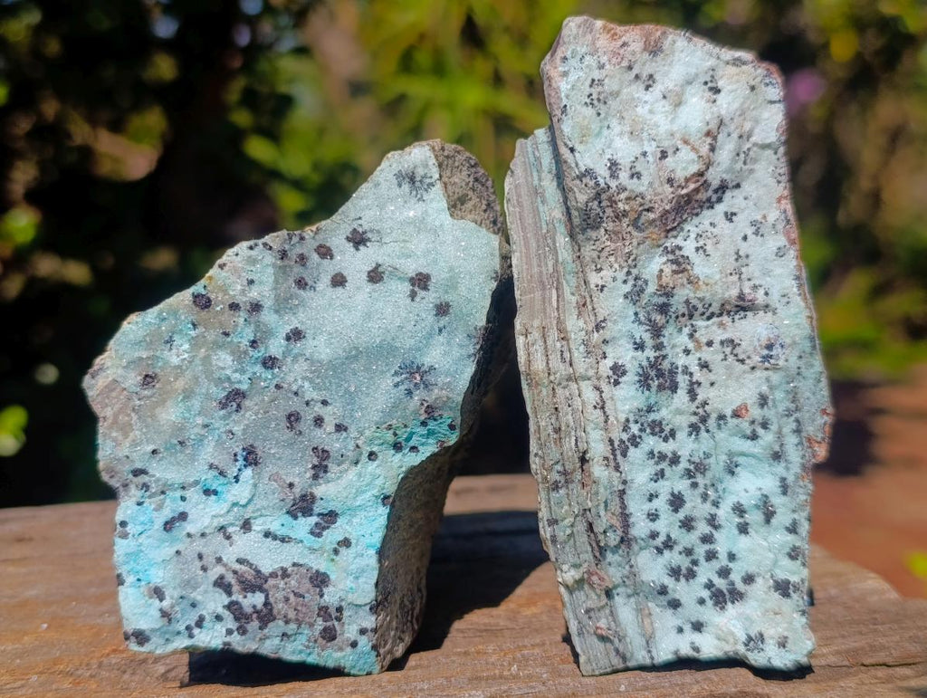 Natural Drusy Coated Chrysocolla Specimens with Dendritic Heterogenite on Dolomite x 6 From Lupoto Mine, Congo