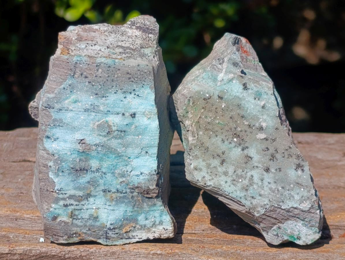 Natural Drusy Coated Chrysocolla Specimens with Dendritic Heterogenite on Dolomite x 6 From Lupoto Mine, Congo