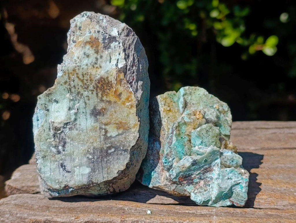 Natural Drusy Coated Chrysocolla Specimens with Dendritic Heterogenite on Dolomite x 6 From Lupoto Mine, Congo