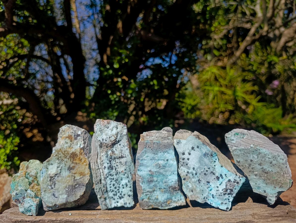 Natural Drusy Coated Chrysocolla Specimens with Dendritic Heterogenite on Dolomite x 6 From Lupoto Mine, Congo