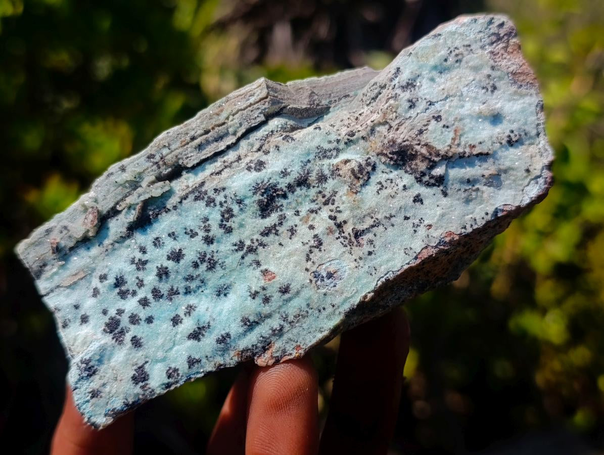 Natural Drusy Coated Chrysocolla Specimens with Dendritic Heterogenite on Dolomite x 6 From Lupoto Mine, Congo