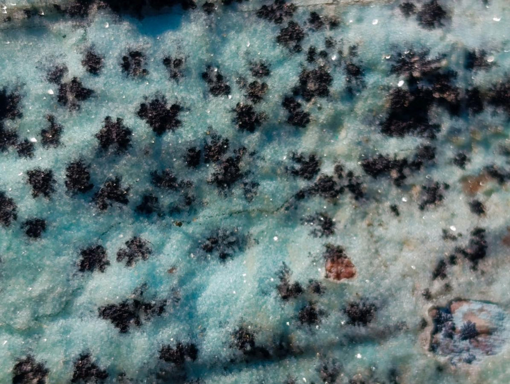 Natural Drusy Coated Chrysocolla Specimens with Dendritic Heterogenite on Dolomite x 6 From Lupoto Mine, Congo