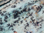 Natural Drusy Coated Chrysocolla Specimens with Dendritic Heterogenite on Dolomite x 6 From Lupoto Mine, Congo