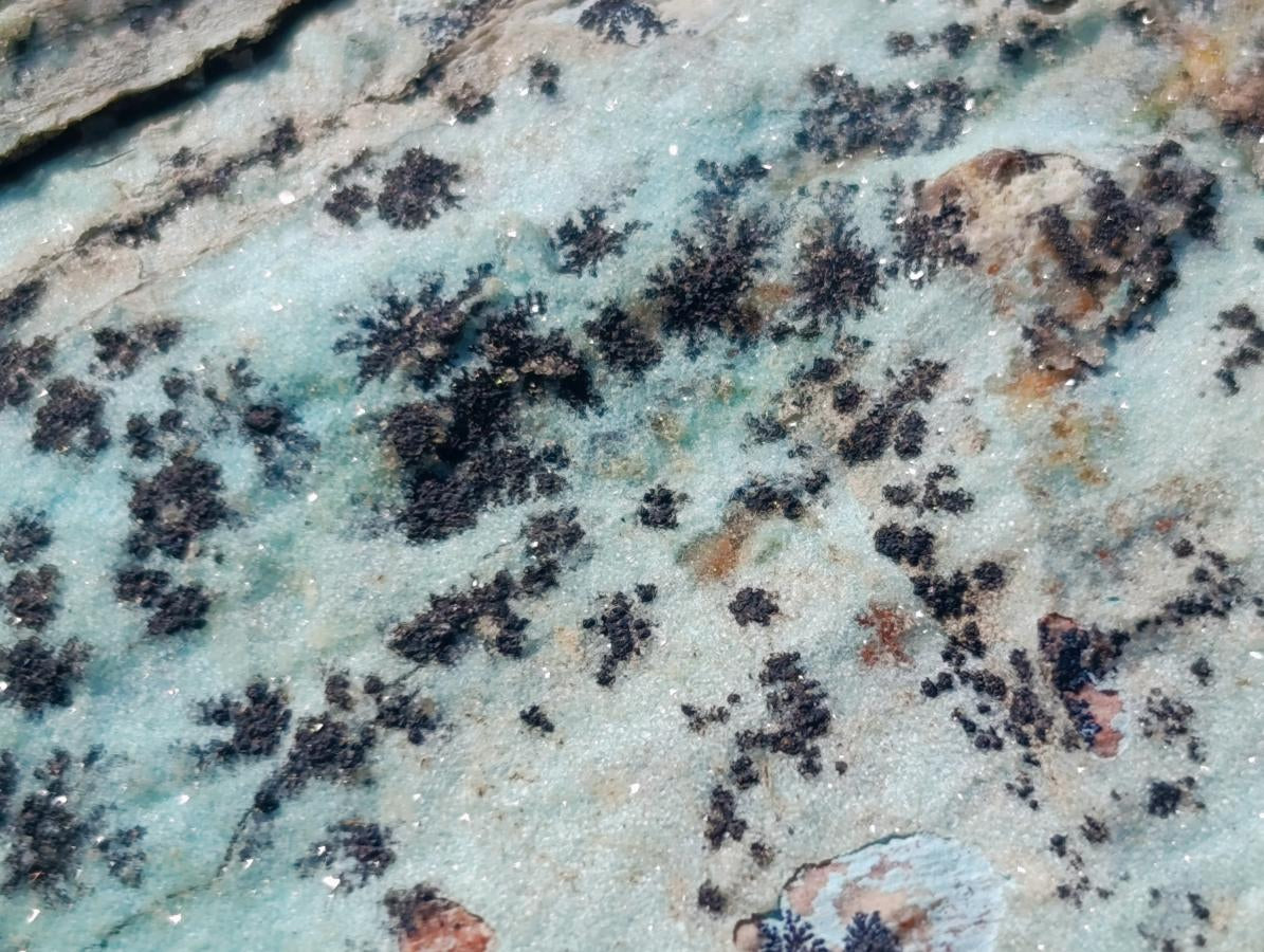 Natural Drusy Coated Chrysocolla Specimens with Dendritic Heterogenite on Dolomite x 6 From Lupoto Mine, Congo