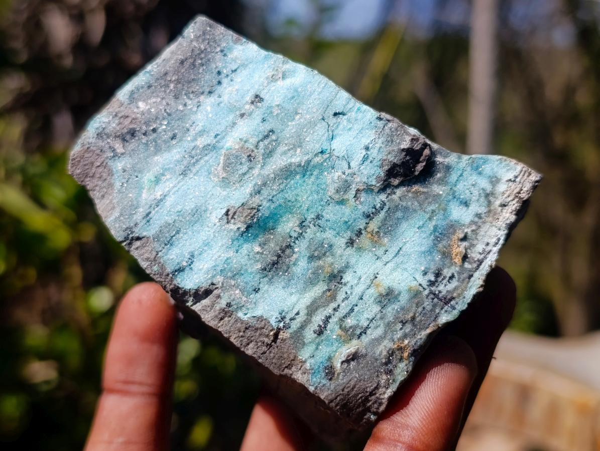 Natural Drusy Coated Chrysocolla Specimens with Dendritic Heterogenite on Dolomite x 6 From Lupoto Mine, Congo