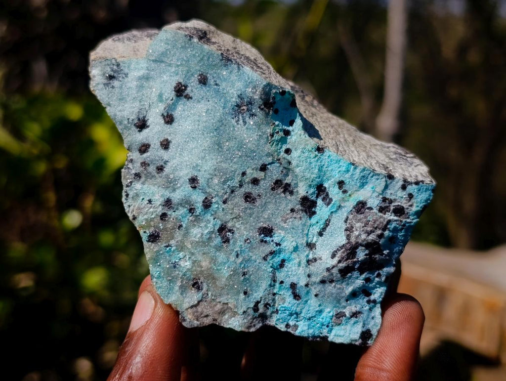 Natural Drusy Coated Chrysocolla Specimens with Dendritic Heterogenite on Dolomite x 6 From Lupoto Mine, Congo
