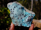 Natural Drusy Coated Chrysocolla Specimens with Dendritic Heterogenite on Dolomite x 6 From Lupoto Mine, Congo
