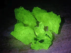 Natural Mix of Mineral Specimens x 58 From Erongo, Namibia
