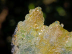 Natural Mix of Mineral Specimens x 58 From Erongo, Namibia