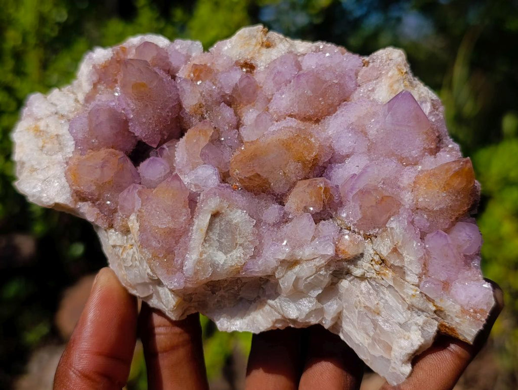 Natural Mix of Mineral Specimens x 6 From Southern Africa