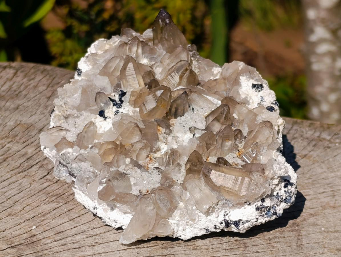 Natural Mix of Mineral Specimens x 6 From Southern Africa