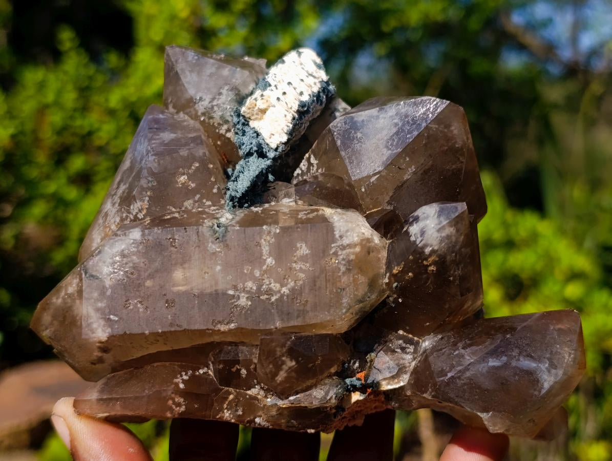 Natural Mix of Mineral Specimens x 6 From Southern Africa