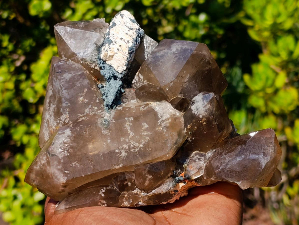 Natural Mix of Mineral Specimens x 6 From Southern Africa