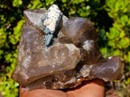Natural Mix of Mineral Specimens x 6 From Southern Africa