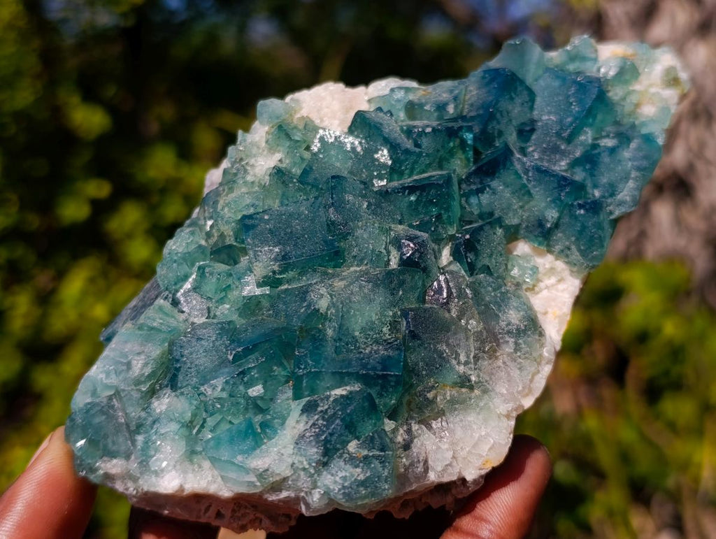 Natural Mix of Mineral Specimens x 6 From Southern Africa