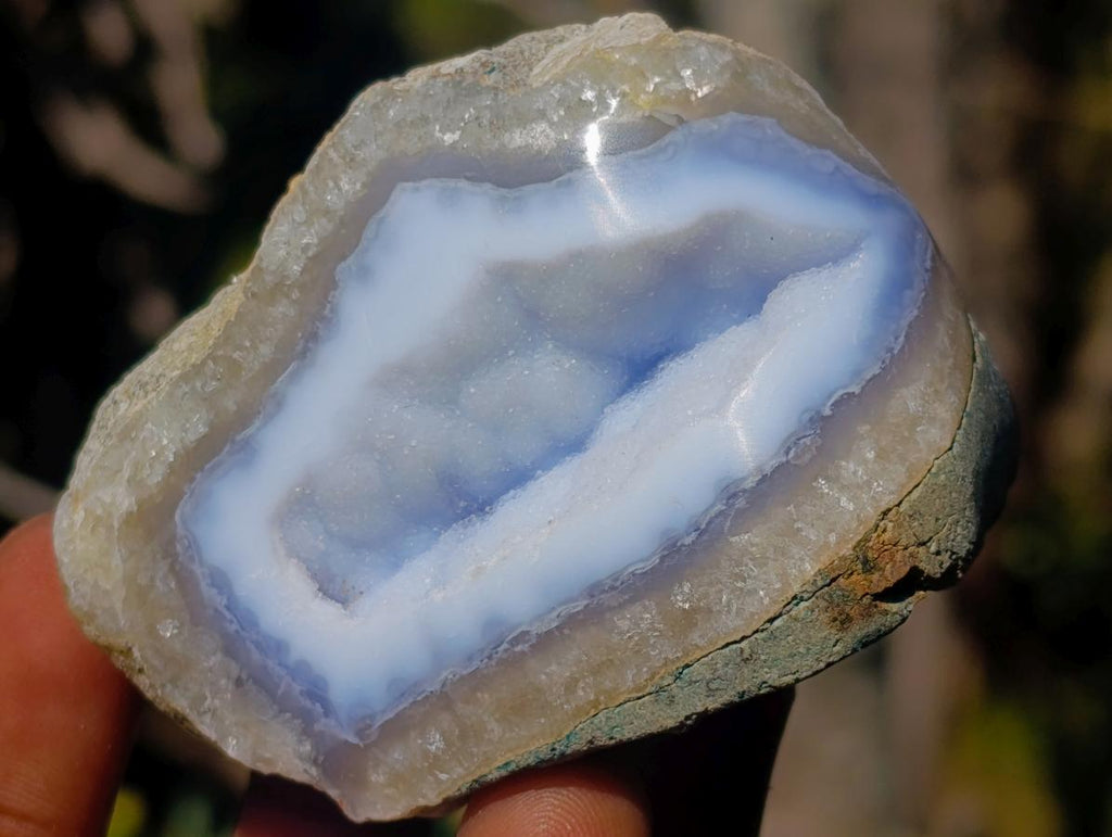 Polished One Side Blue Lace Agate Geodes x 12 From Nsanje, Malawi