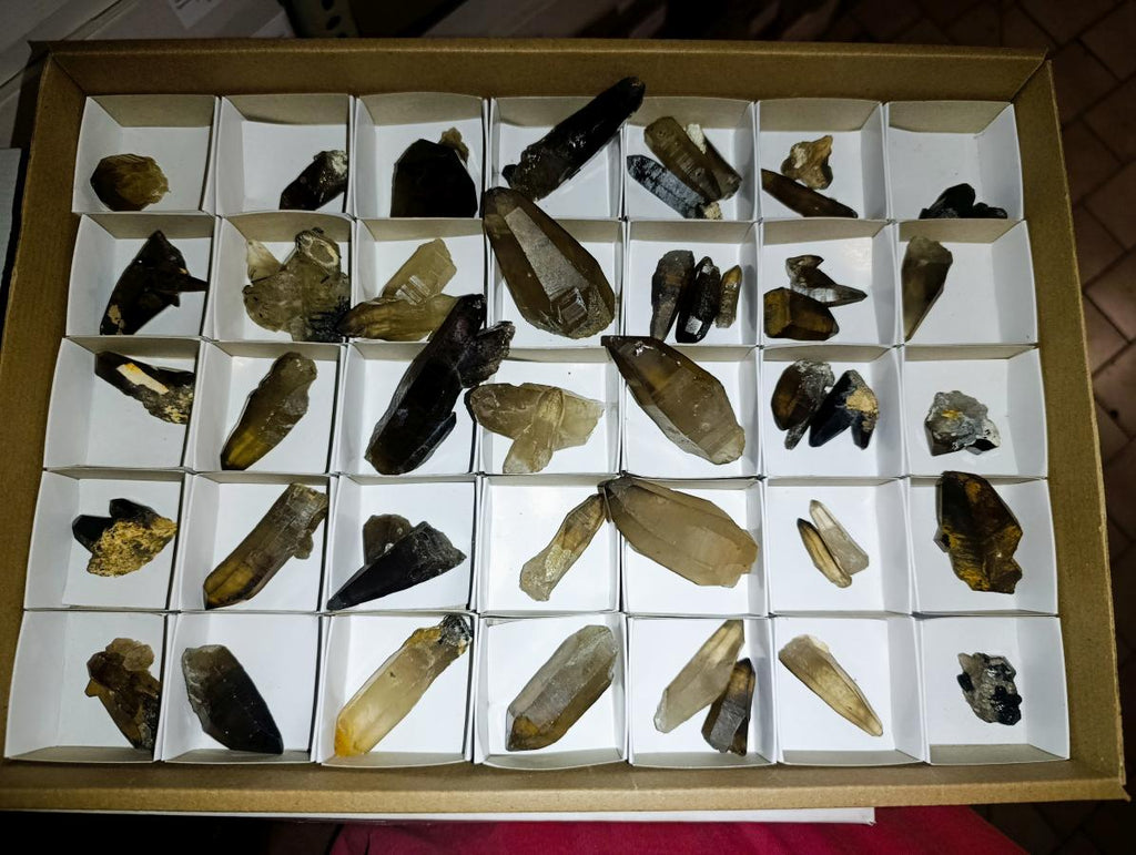 Natural Smokey Quartz Crystals x 43 From Erongo, Namibia