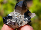 Natural Smokey Quartz Crystals x 43 From Erongo, Namibia