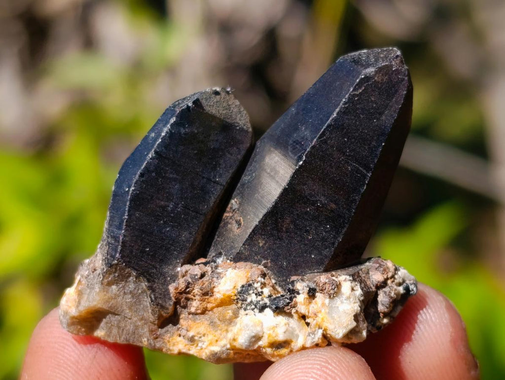 Natural Smokey Quartz Crystals x 43 From Erongo, Namibia