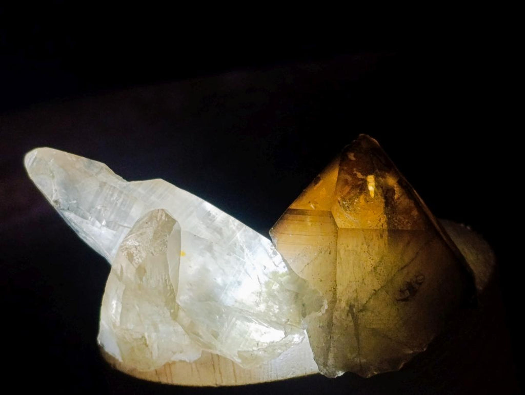 Natural Smokey Quartz Crystals x 43 From Erongo, Namibia