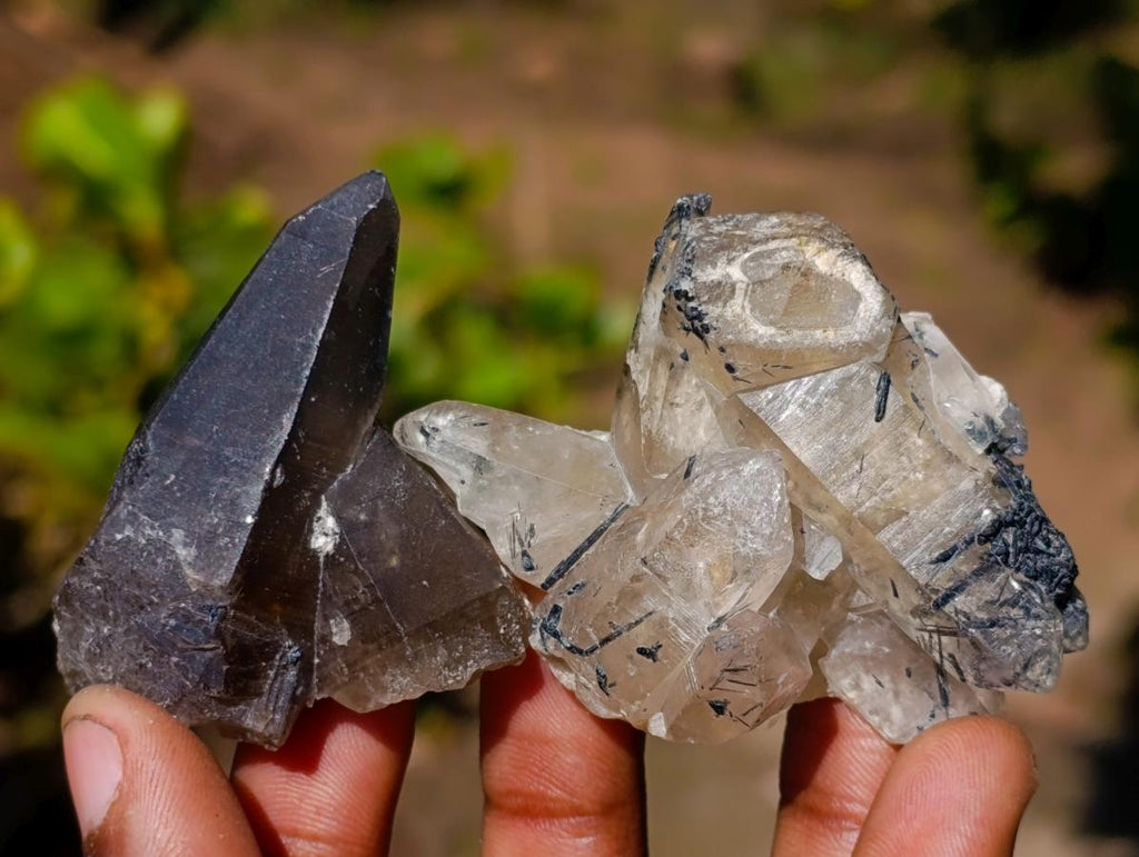 Natural Smokey Quartz Crystals x 43 From Erongo, Namibia