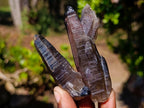Natural Smokey Quartz Crystals x 43 From Erongo, Namibia