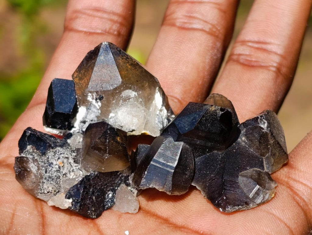 Natural Smokey Quartz Crystals x 43 From Erongo, Namibia