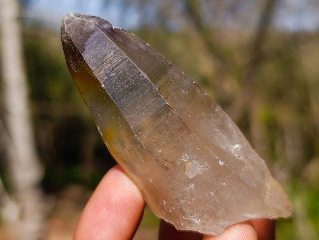 Natural Smokey Quartz Crystals x 43 From Erongo, Namibia