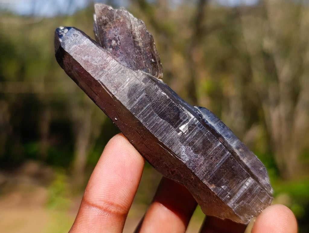 Natural Smokey Quartz Crystals x 43 From Erongo, Namibia