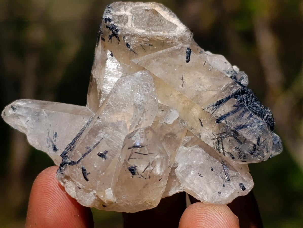 Natural Smokey Quartz Crystals x 43 From Erongo, Namibia
