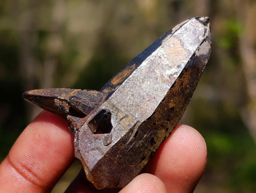 Natural Smokey Quartz Crystals x 43 From Erongo, Namibia