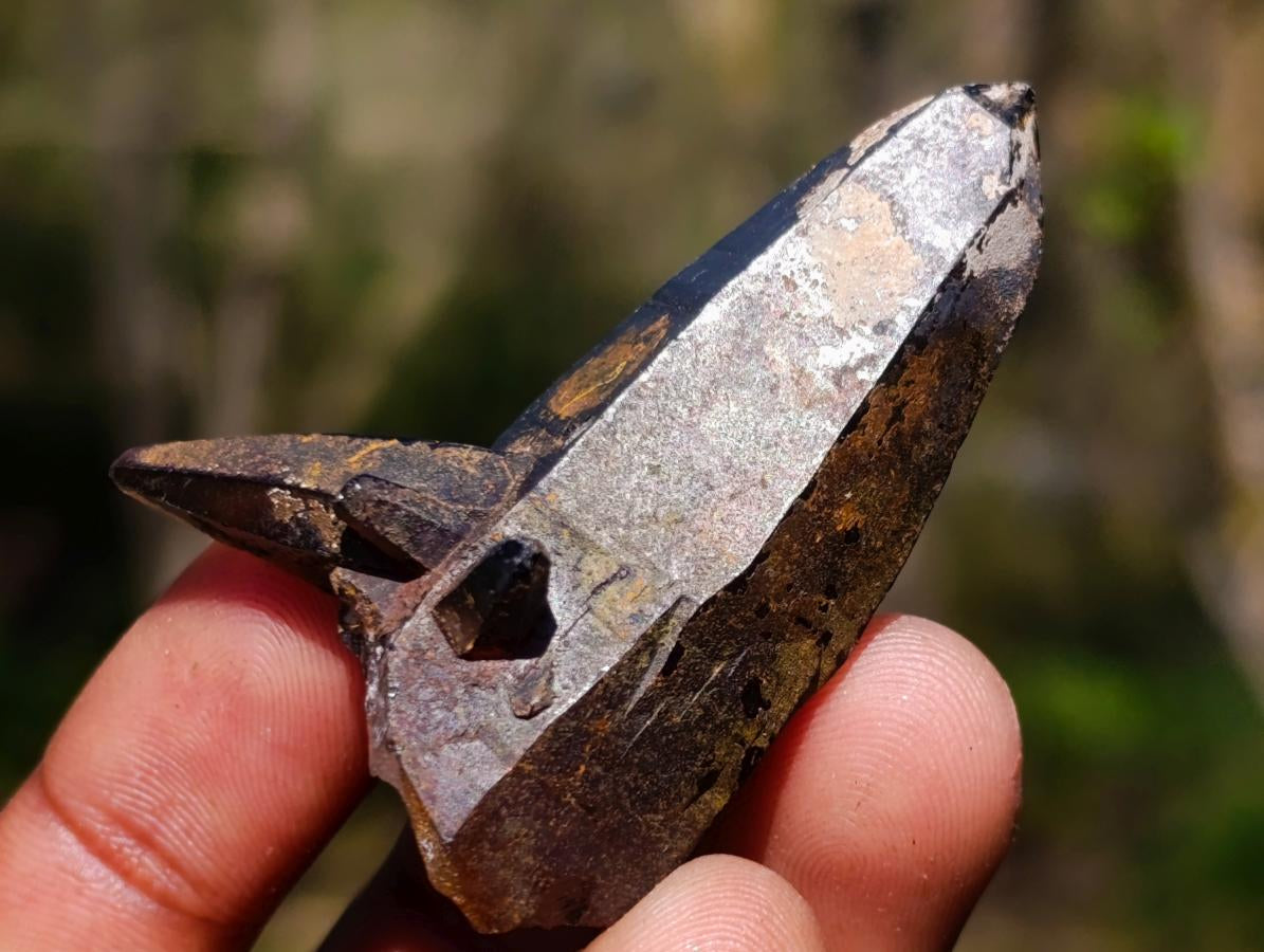 Natural Smokey Quartz Crystals x 43 From Erongo, Namibia