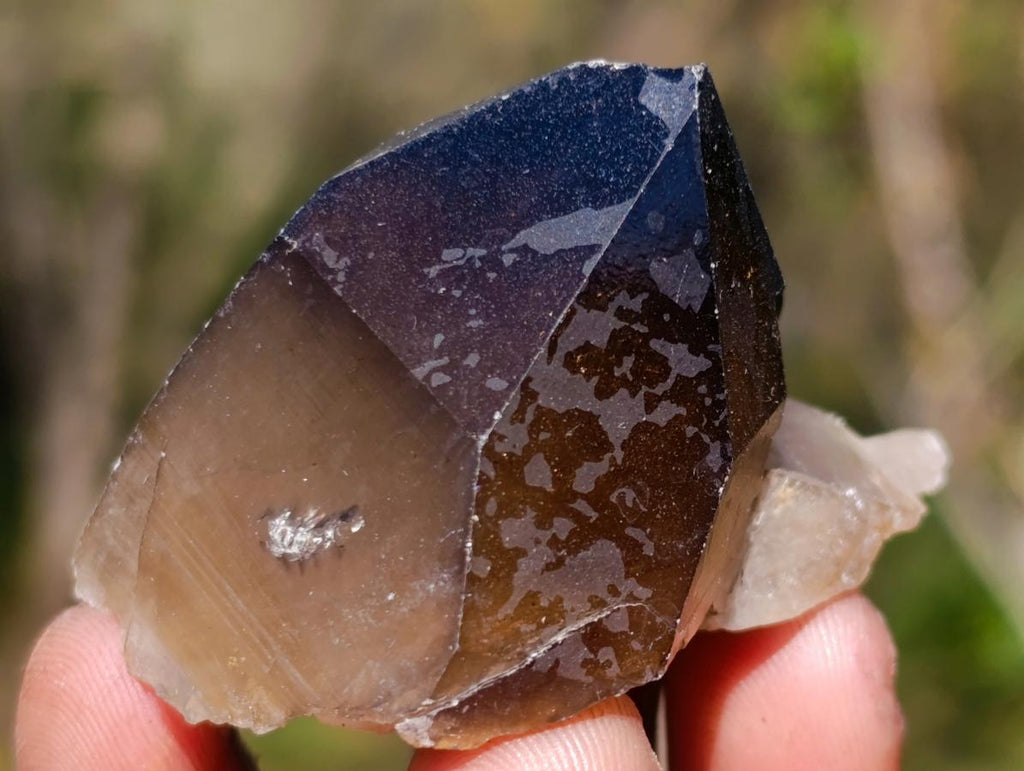 Natural Smokey Quartz Crystals x 43 From Erongo, Namibia