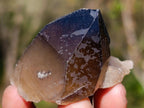 Natural Smokey Quartz Crystals x 43 From Erongo, Namibia