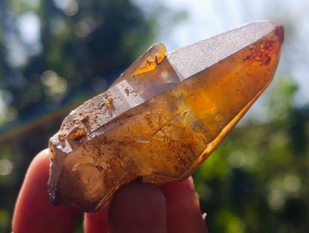 Natural Smokey Quartz Crystals x 43 From Erongo, Namibia