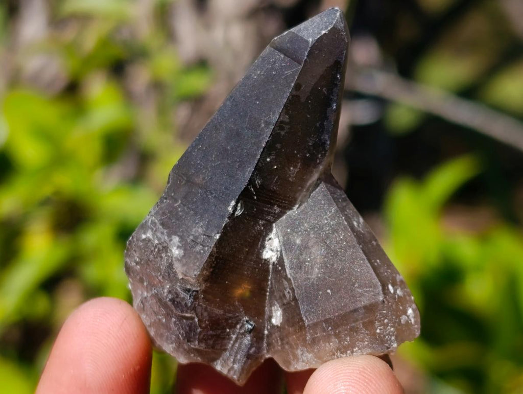 Natural Smokey Quartz Crystals x 43 From Erongo, Namibia