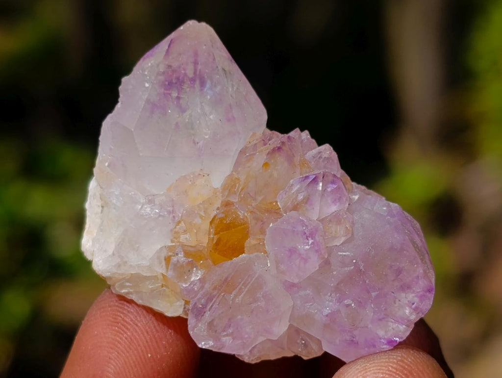 Natural Spirit Amethyst Crystals and Clusters x 70 From Boekenhouthoek, South Africa