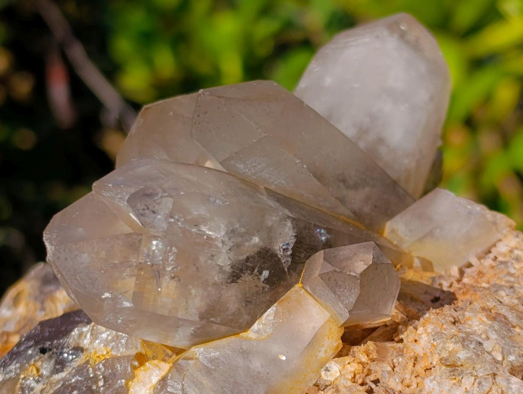 Natural Smokey Quartz Clusters x 2 From Erongo, Namibia