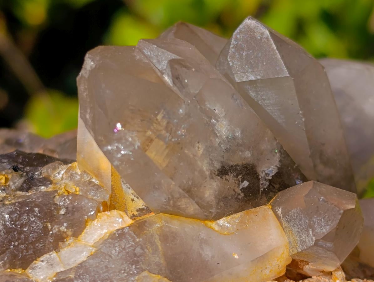 Natural Smokey Quartz Clusters x 2 From Erongo, Namibia