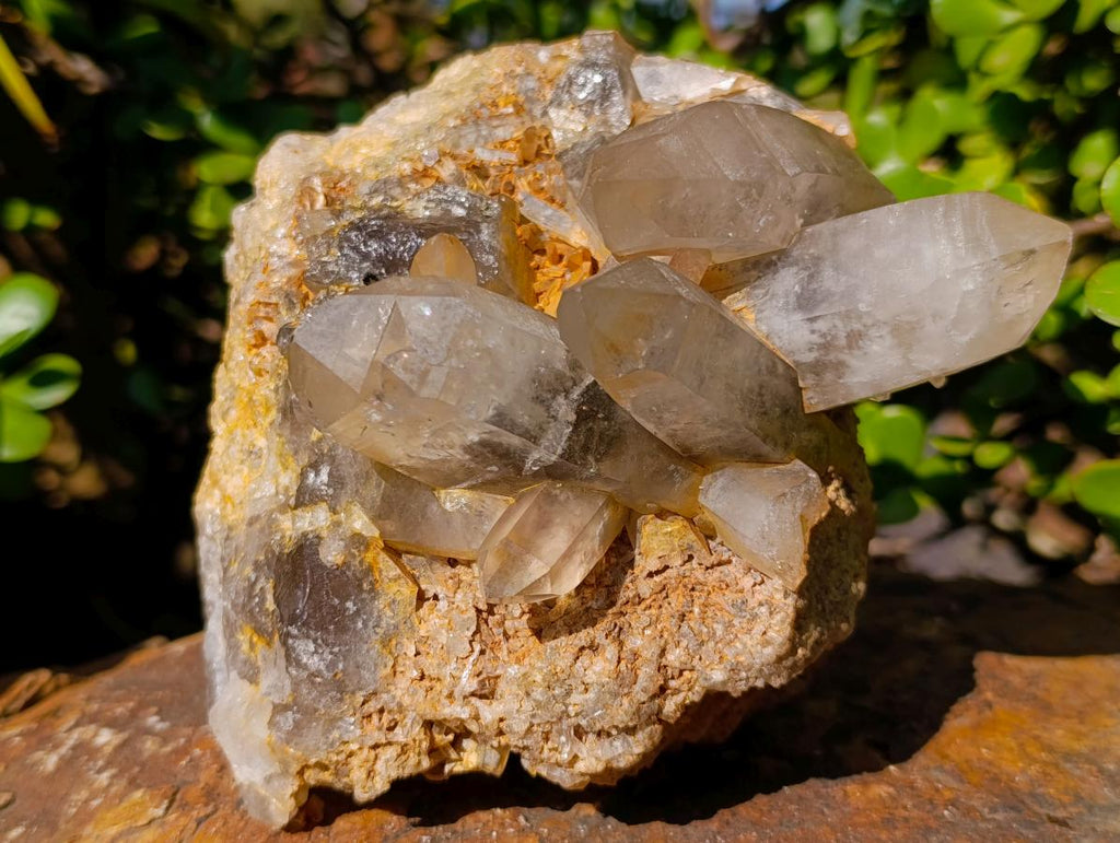 Natural Smokey Quartz Clusters x 2 From Erongo, Namibia