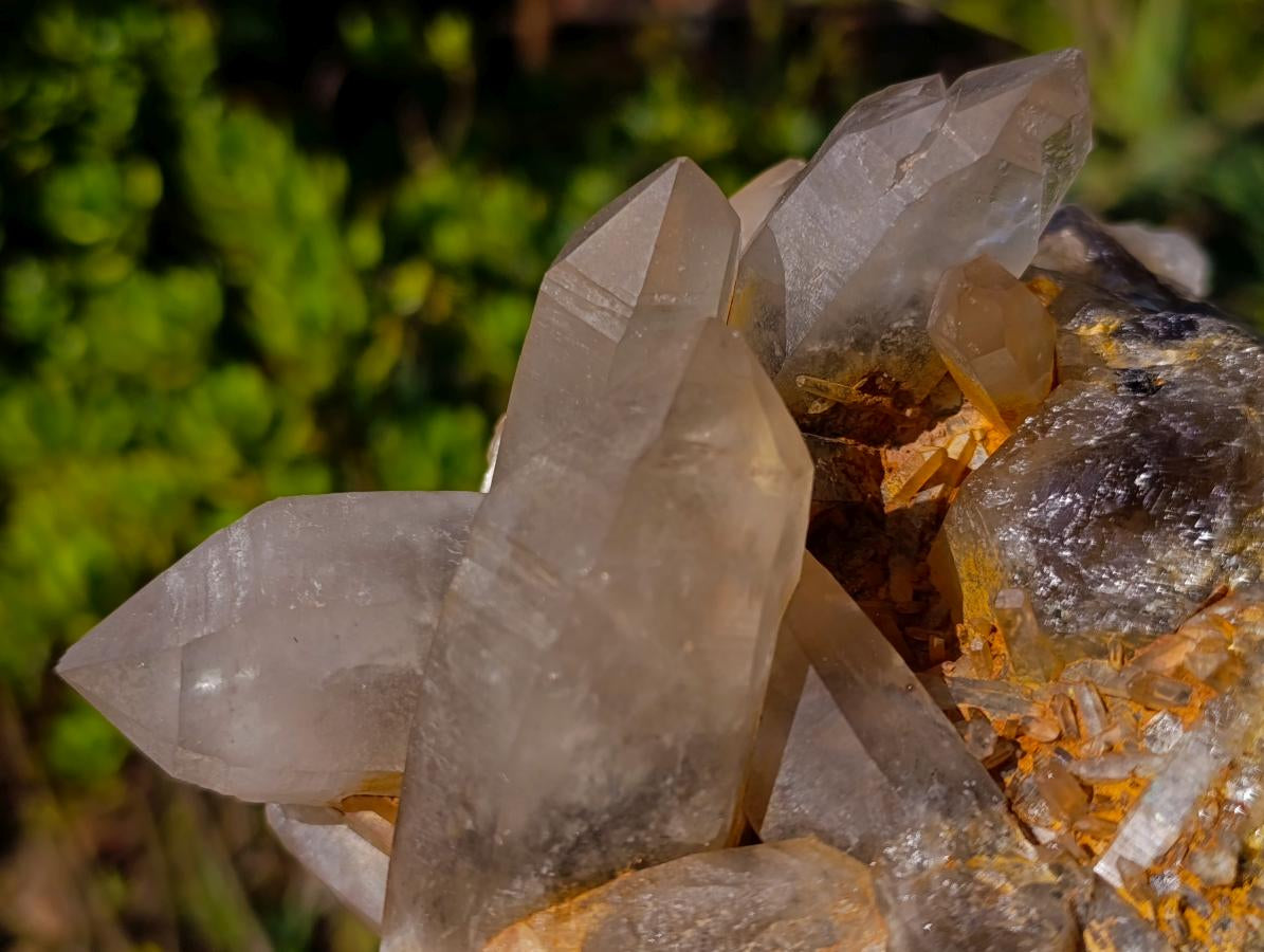 Natural Smokey Quartz Clusters x 2 From Erongo, Namibia