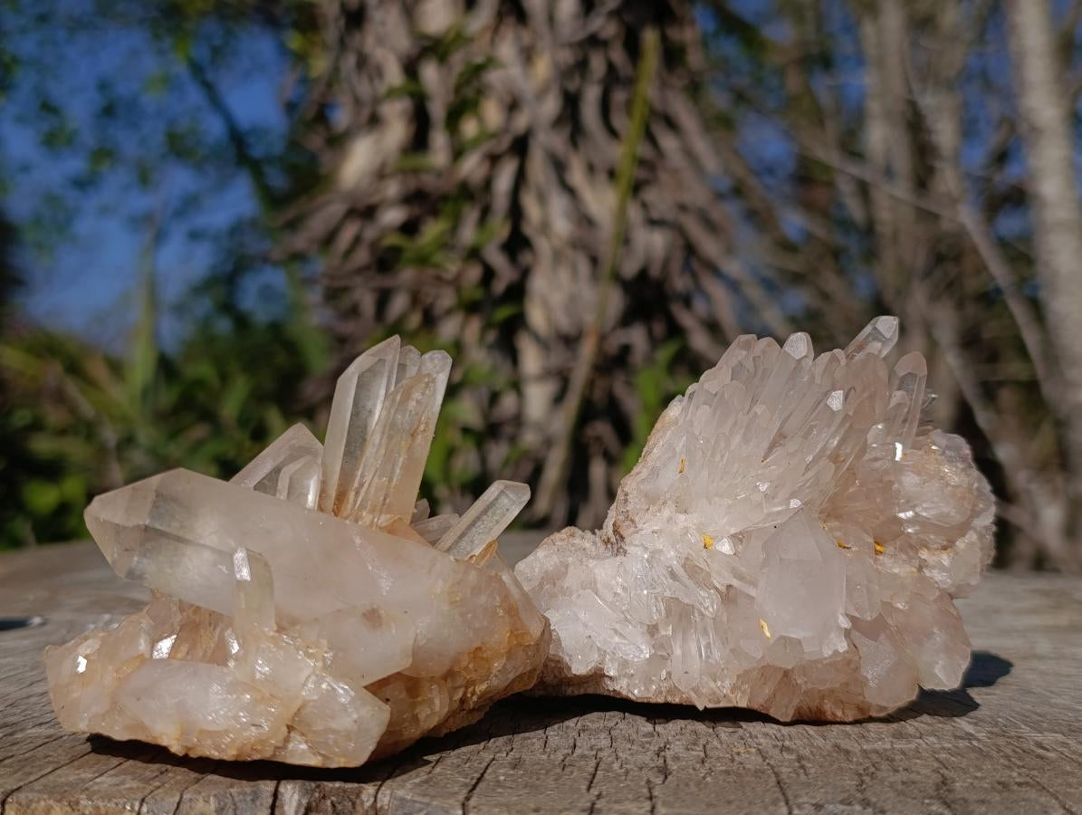 Natural Malagasy Quartz Clusters x 6 From Madagascar