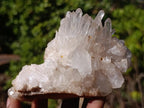 Natural Malagasy Quartz Clusters x 6 From Madagascar