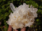 Natural Malagasy Quartz Clusters x 6 From Madagascar