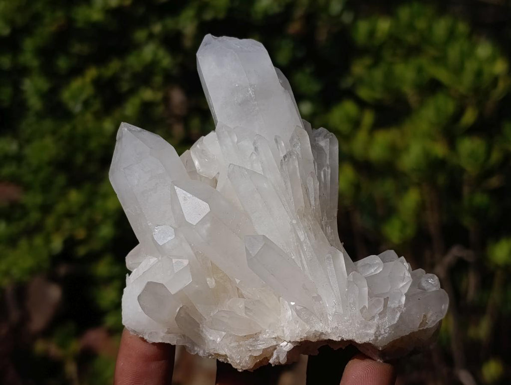 Natural Malagasy Quartz Clusters x 6 From Madagascar