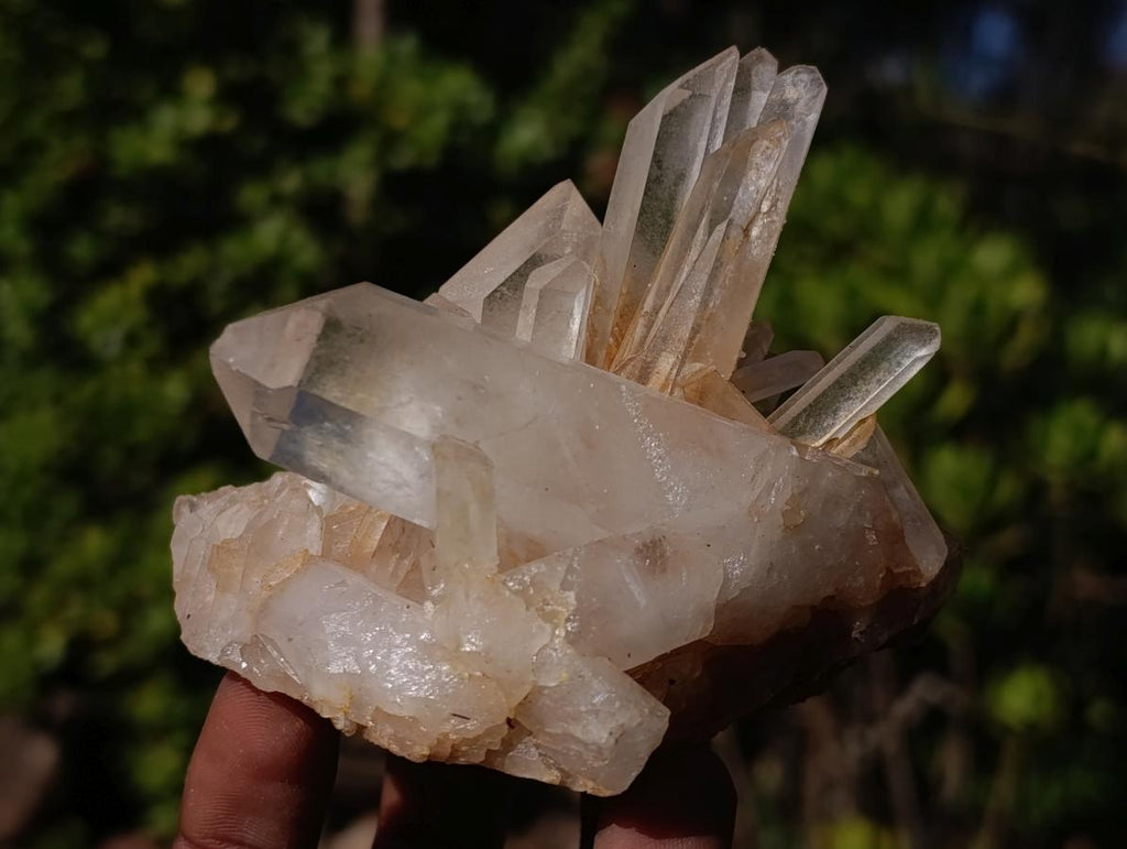 Natural Malagasy Quartz Clusters x 6 From Madagascar