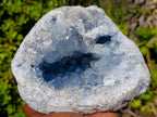 Natural Large Blue Celestite Geode Specimen x 1 From Sakoany, Madagascar