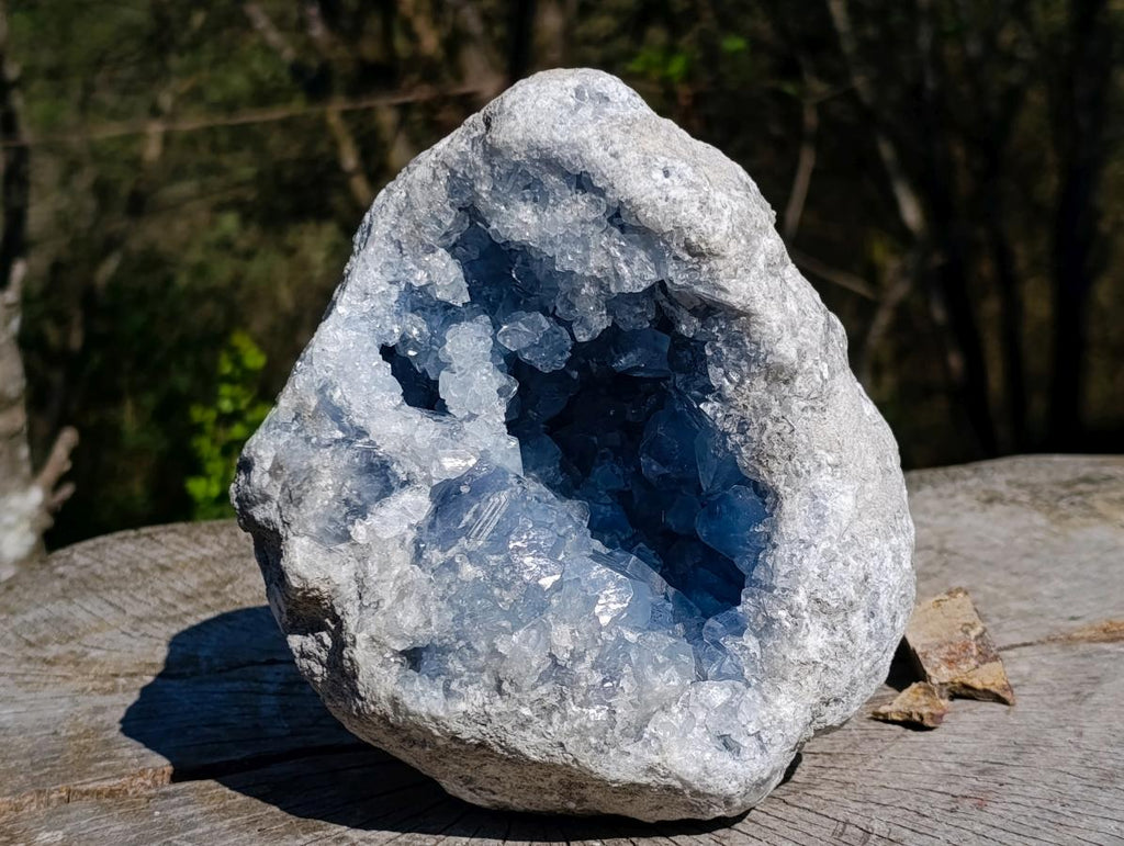Natural Large Blue Celestite Geode Specimen x 1 From Sakoany, Madagascar