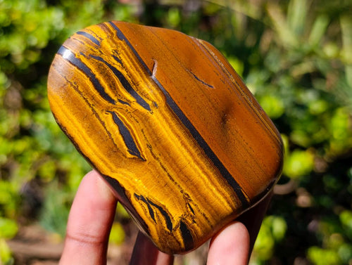 Polished Large Golden Tigers Eye Free Forms x 5 From Prieska, South Africa