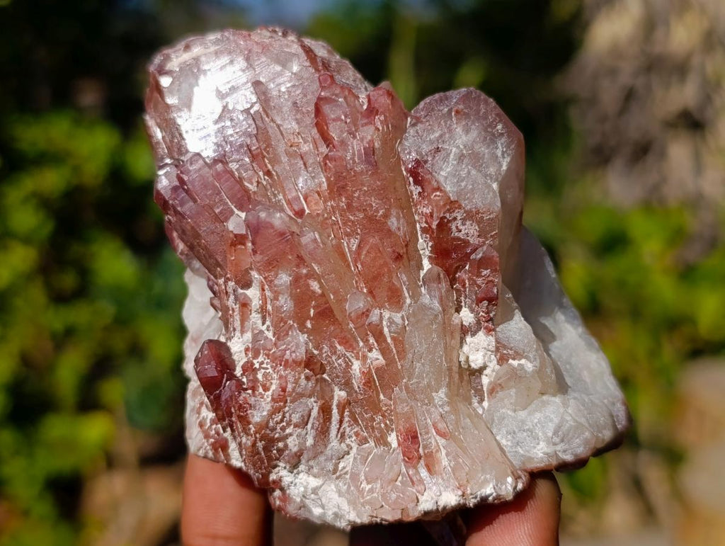 Natural Red Hematoid Quartz Crystals x 6 From Karoi, Zimbabwe